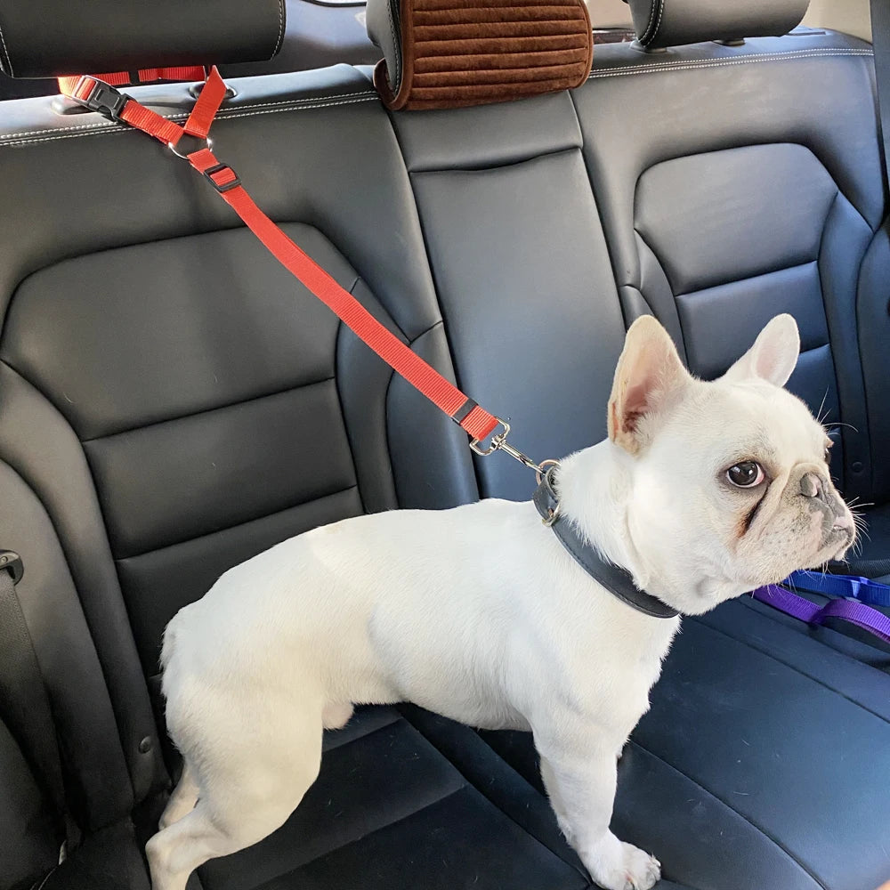 Dog Car Seat Belt