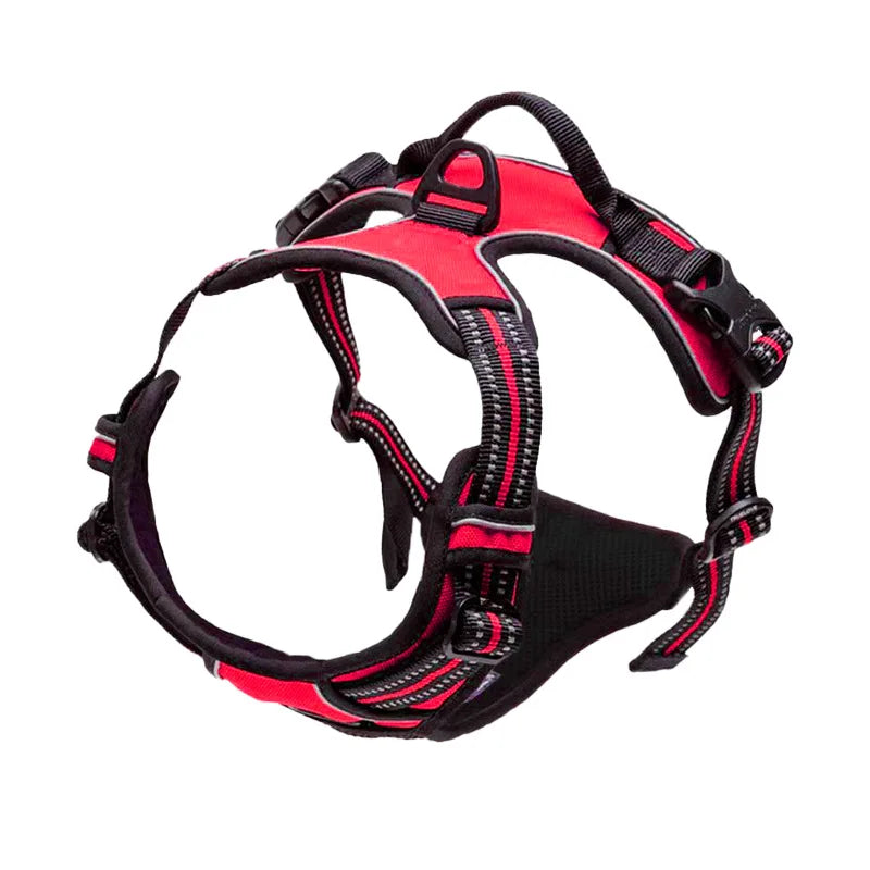 Red - Harness