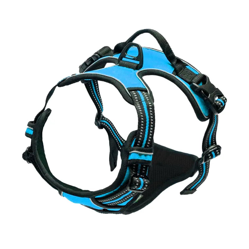 Blue - Harness