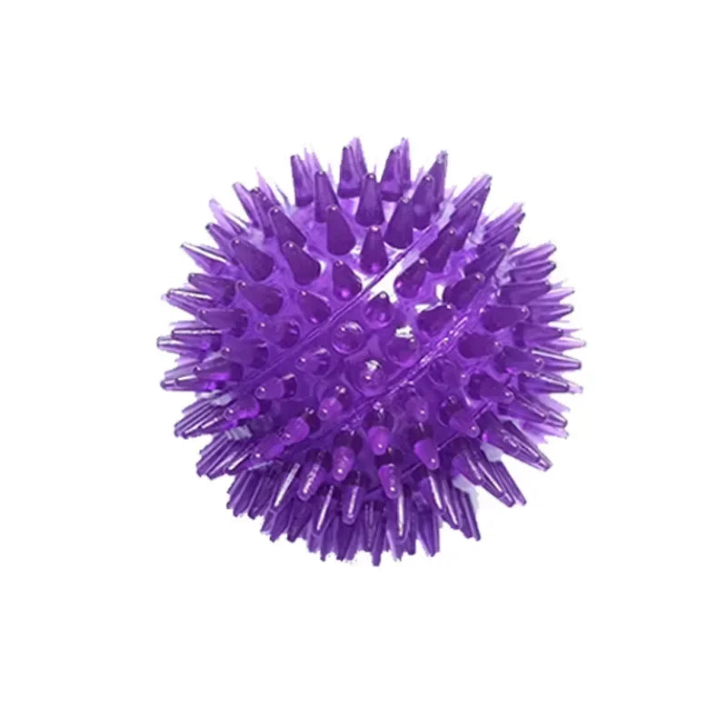 Purple - Spiky Squeaky Dog Ball
