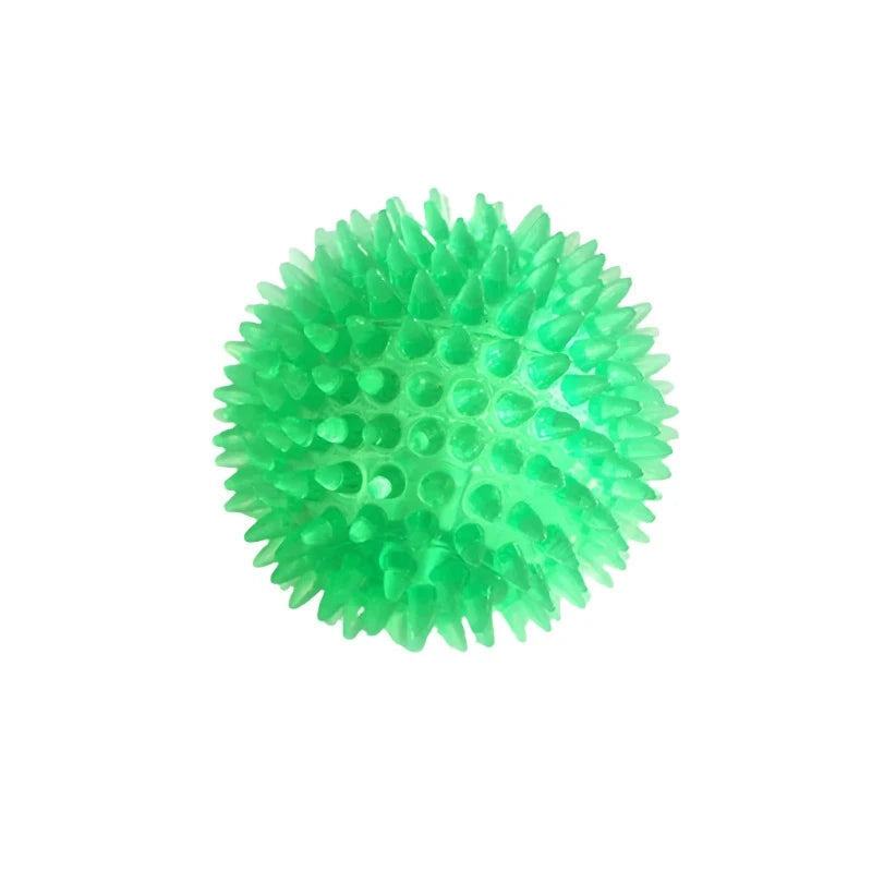 Interactive Spiky Squeaky Dog Ball Fun Tooth Cleaning Toy Silly Pickle