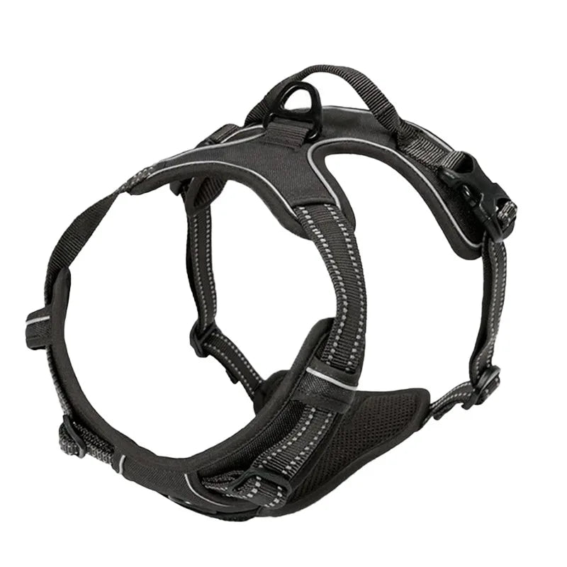 Black - Harness