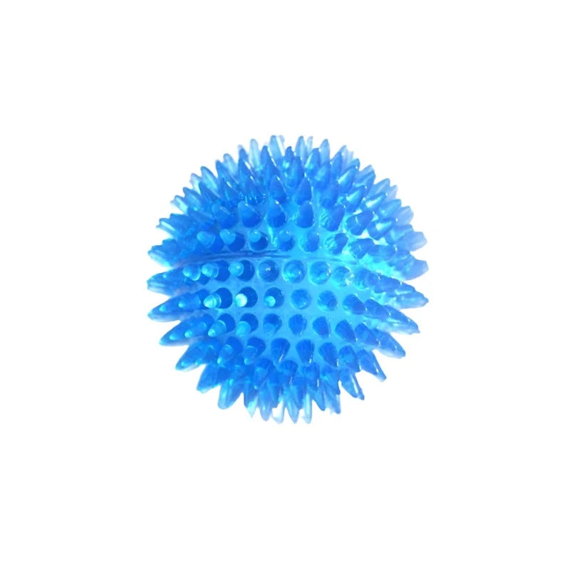 Blue - Spiky Squeaky Dog Ball