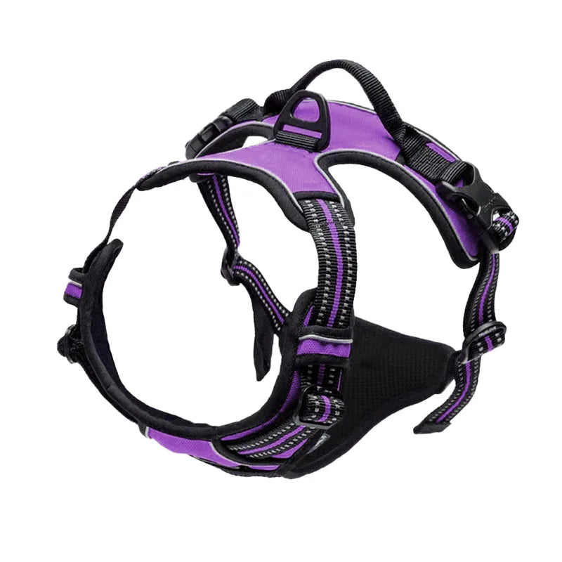 Purple - Harness