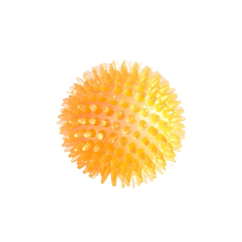 Orange - Spiky Squeaky Dog Ball